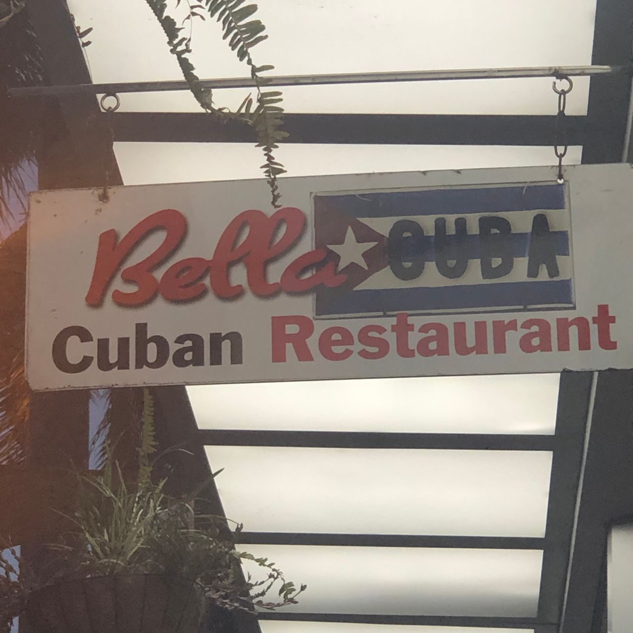 miami-beach-restaurant-bella-cuba-restaurant-n5