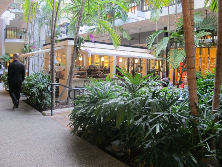 Makoto restaurant