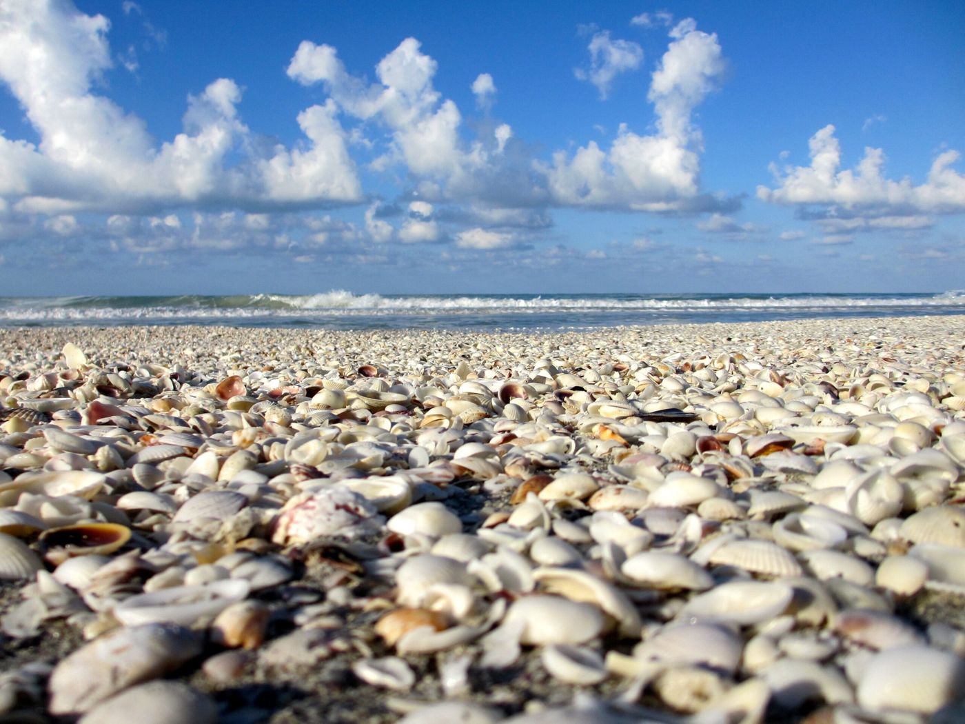 Beautiful, shell filled beach on Sanibel Island Florida