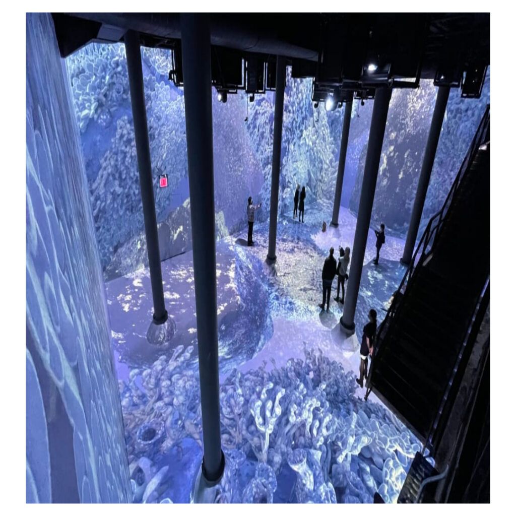 Immersive Exhibition | ARTECHOUSE x Pantone Color of the Year 2023