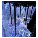 Immersive Exhibition | ARTECHOUSE x Pantone Color of the Year 2023