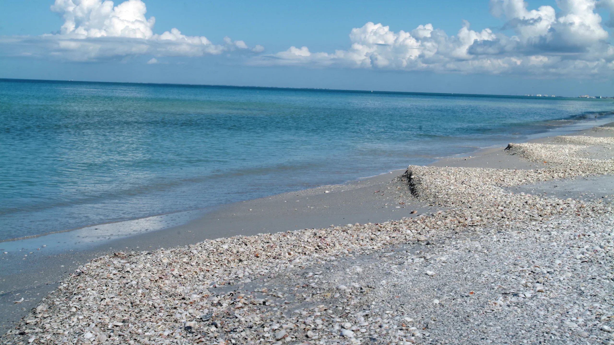 sanibelbeachshells