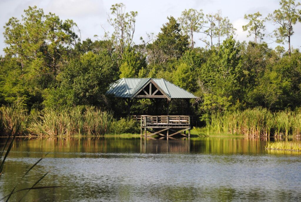 Six Mile Cypress Slough Preserve