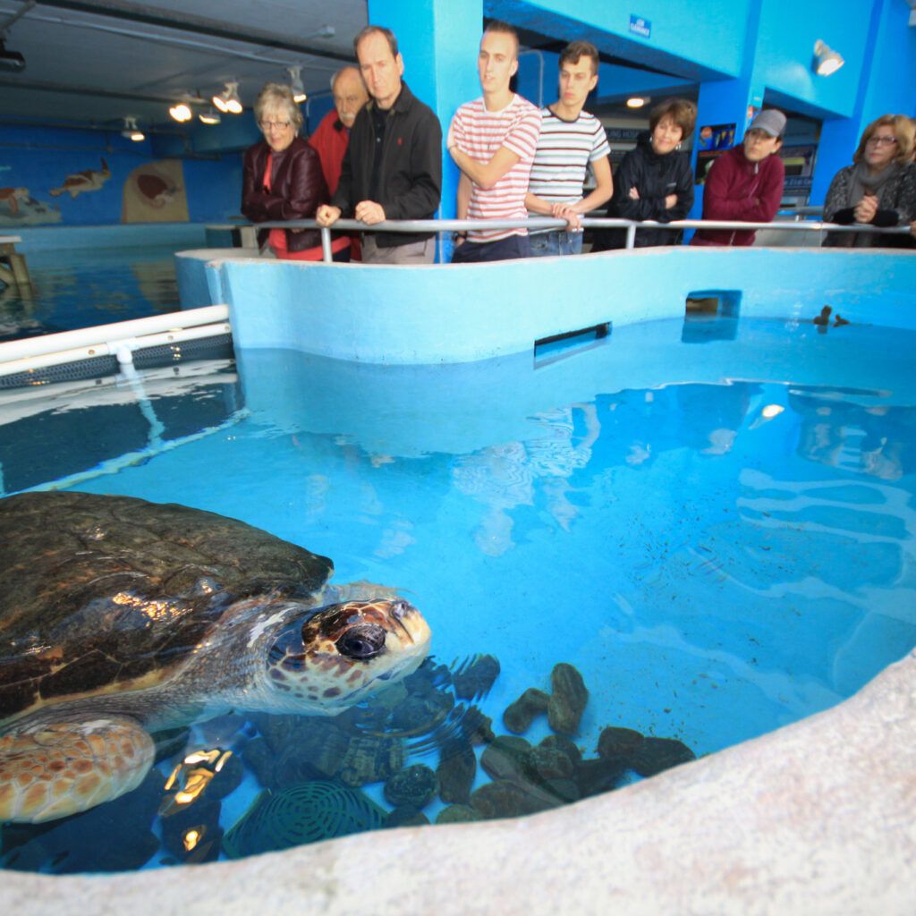 Mote Marine Laboratory