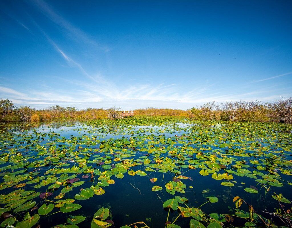 Anhinga Trail – Everglades National Park