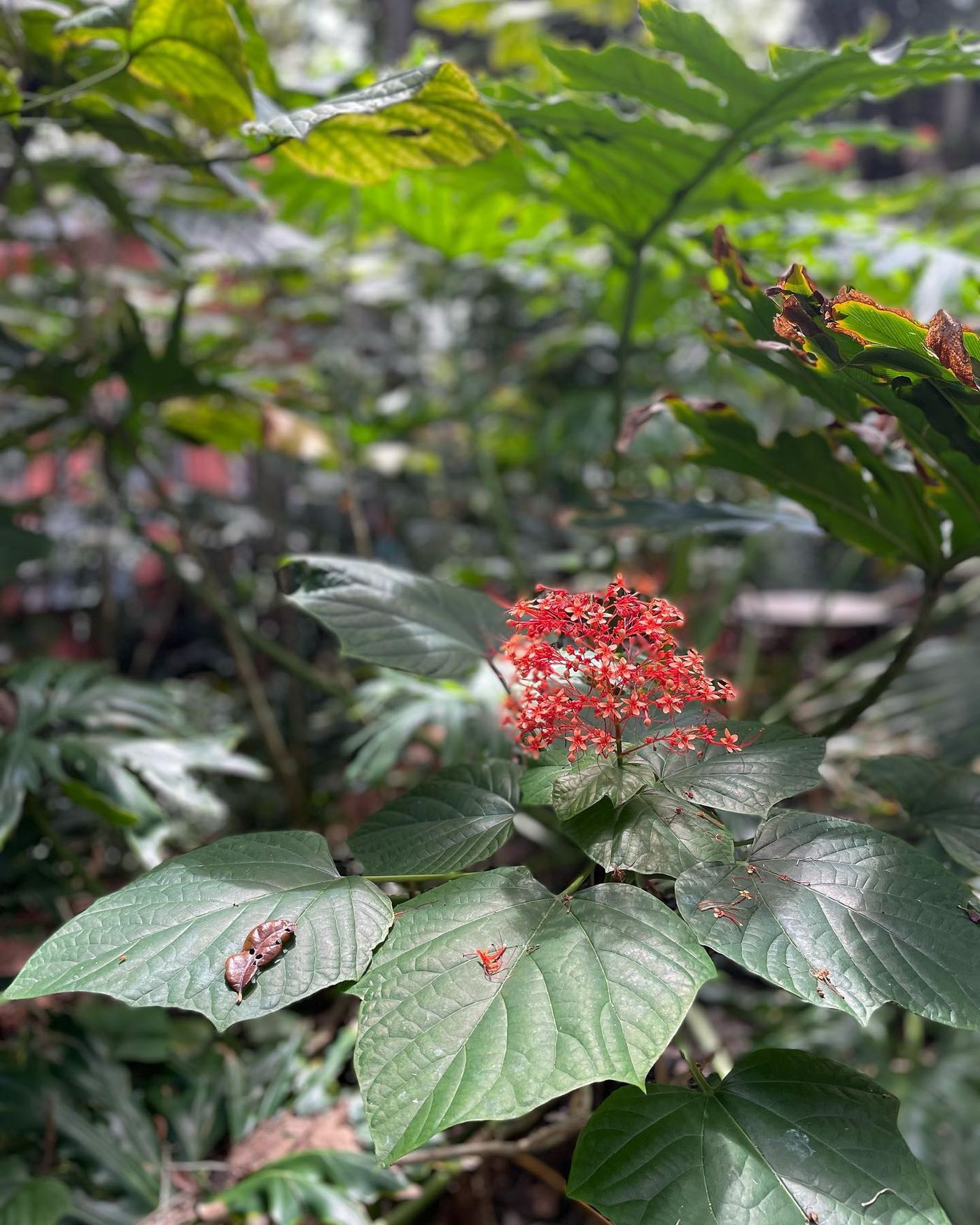 305450484_511966890935998_2723538081543899128_n