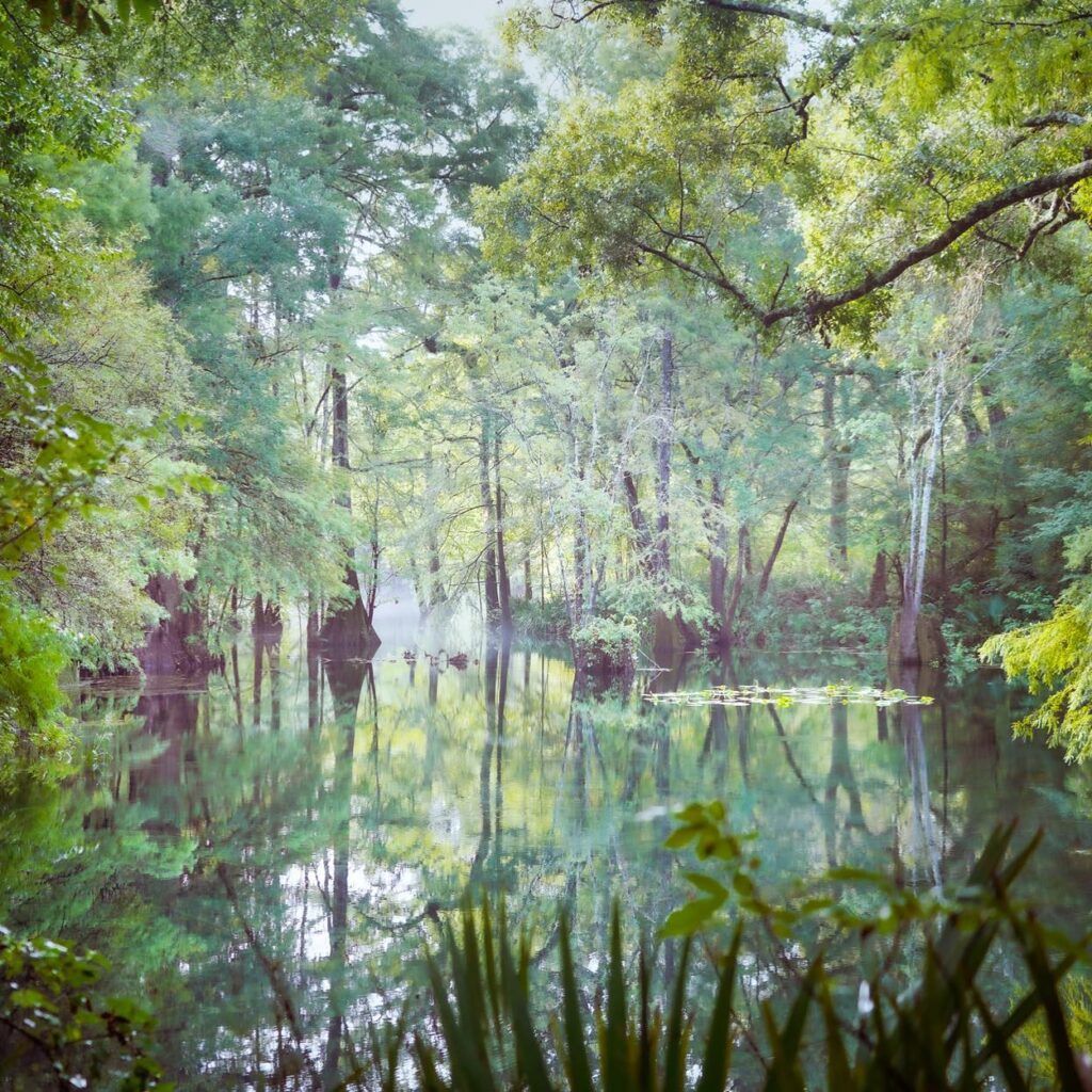 PAYNES CREEK HISTORIC STATE PARK