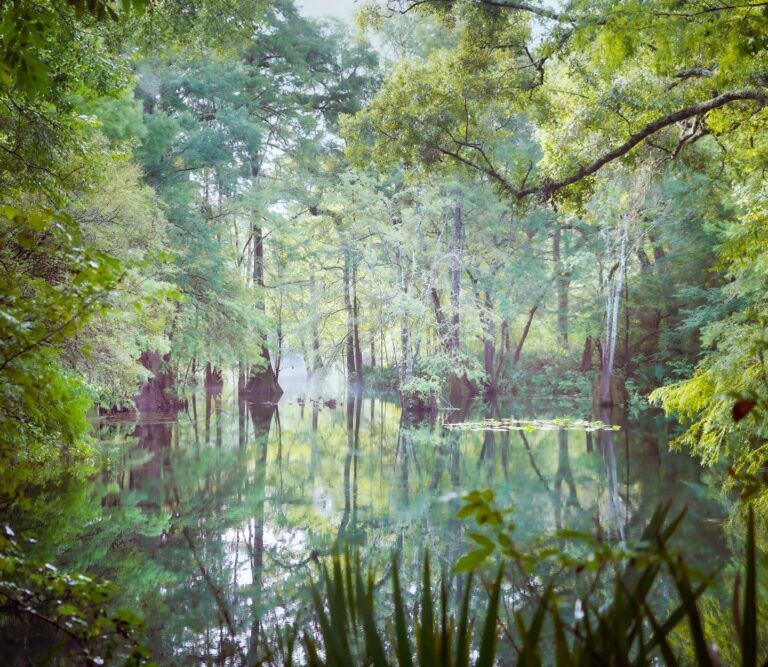 PAYNES CREEK HISTORIC STATE PARK
