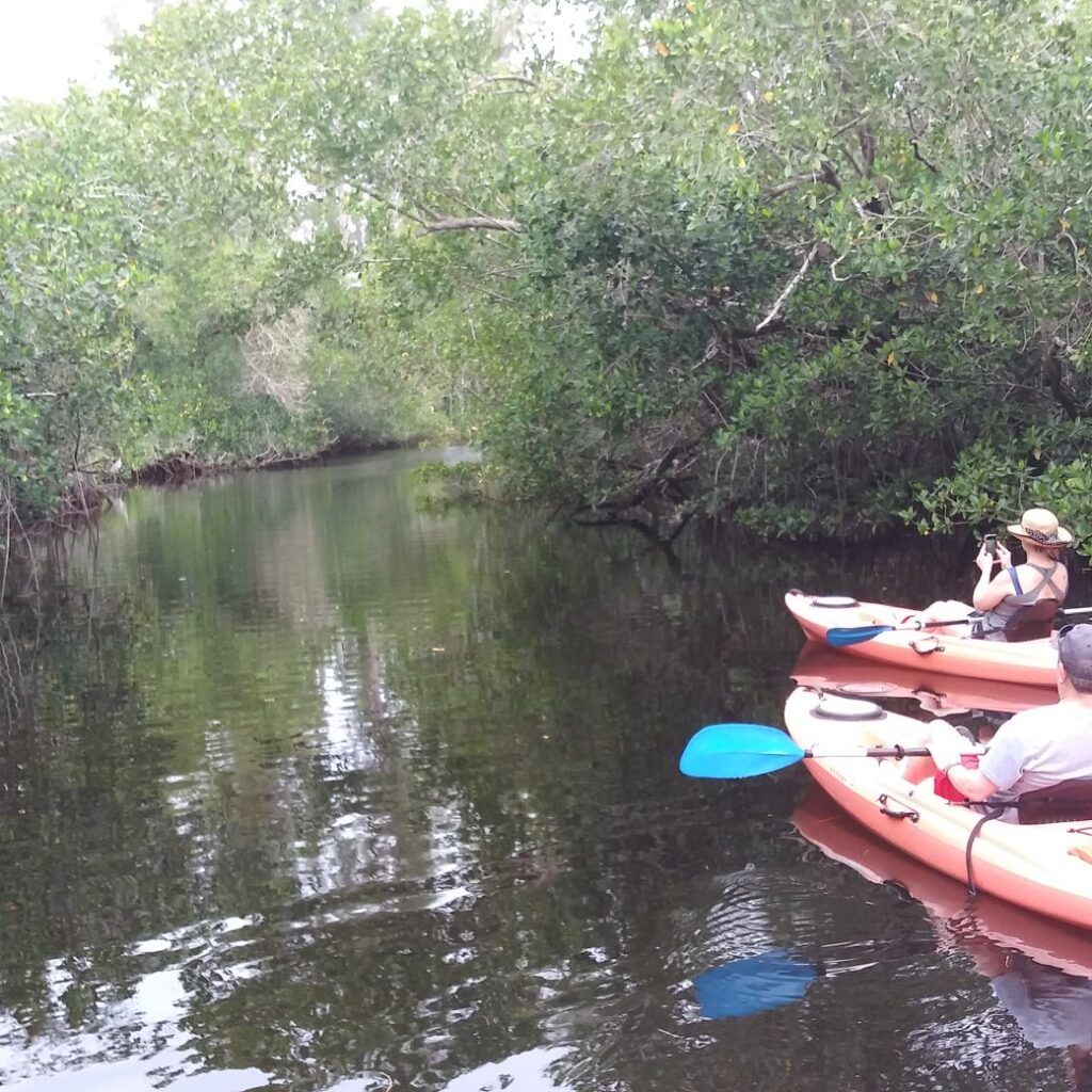 NAPLES PADDLEBOARD