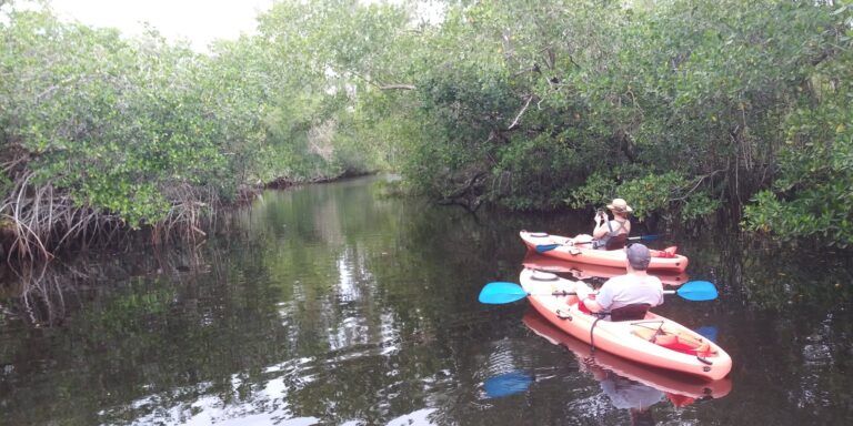 NAPLES PADDLEBOARD