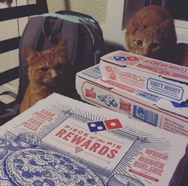 Domino’s Pizza