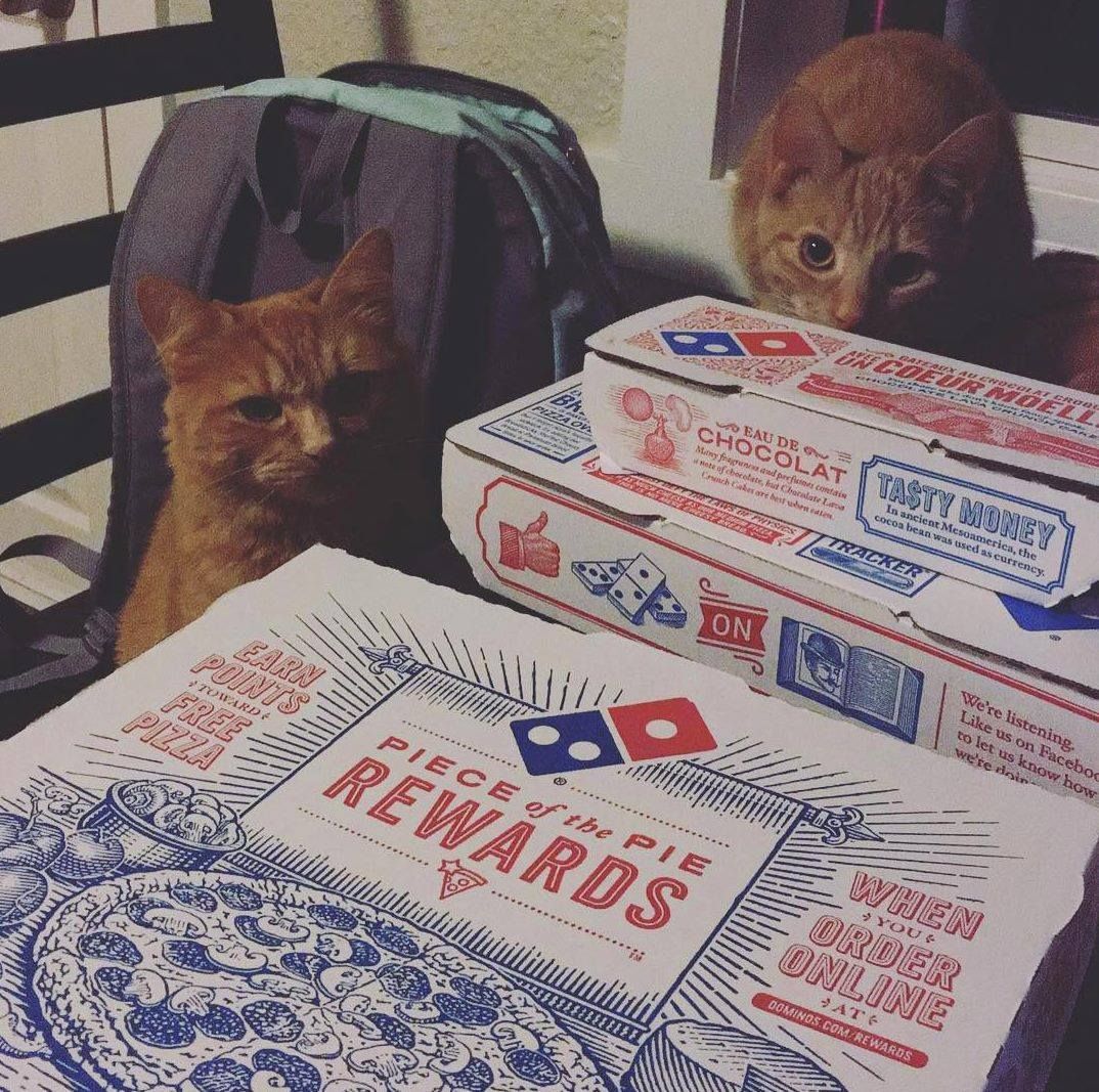 16992393_1385772628125550_6763714240073850783_o