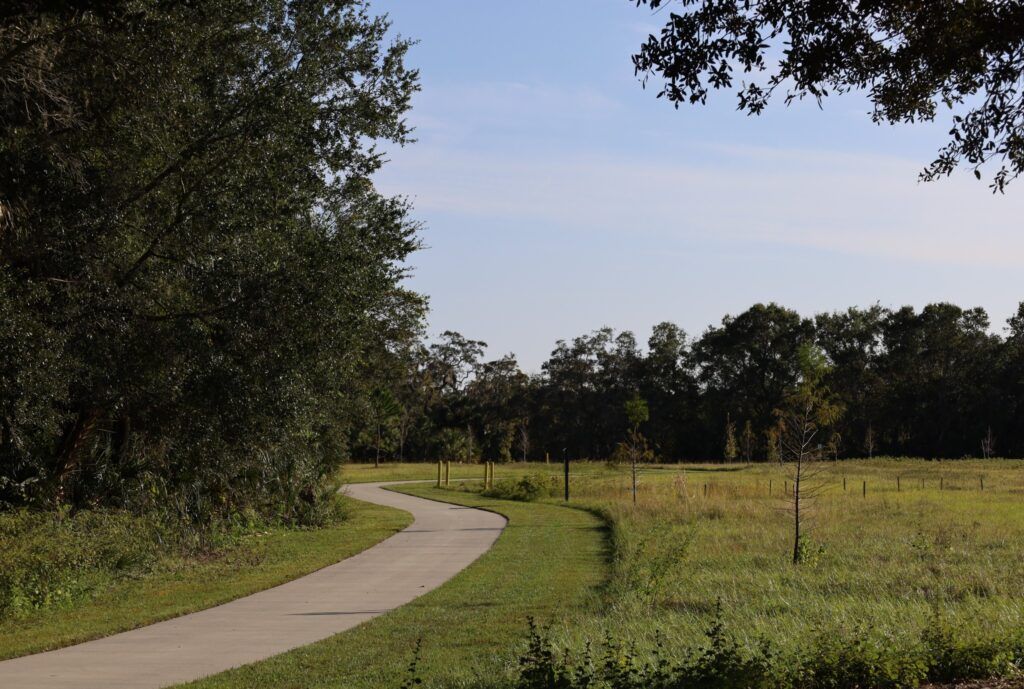 Lettuce Lake Regional Park