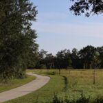 Lettuce Lake Regional Park