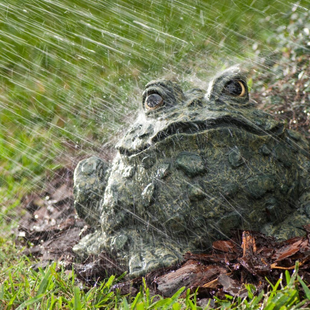 Lawn decoration toad with water hitting it