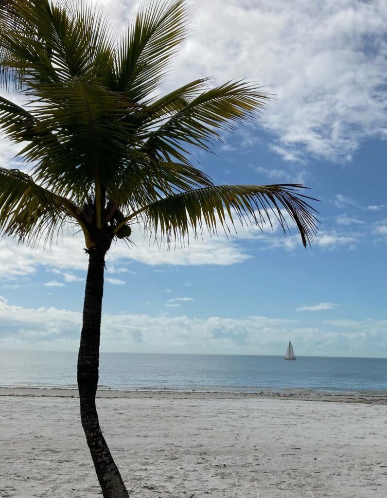 Tiki On The Beach