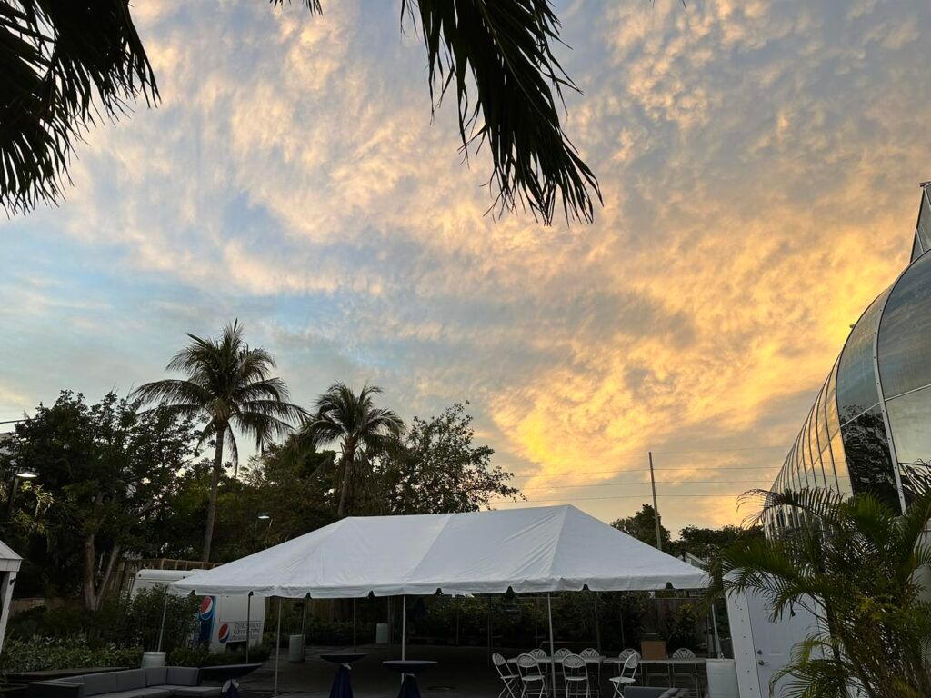 The Key West Butterfly & Nature Conservatory
