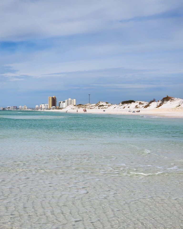 Dr. Von D. Mizell-Eula Johnson State Park – Dania Beach