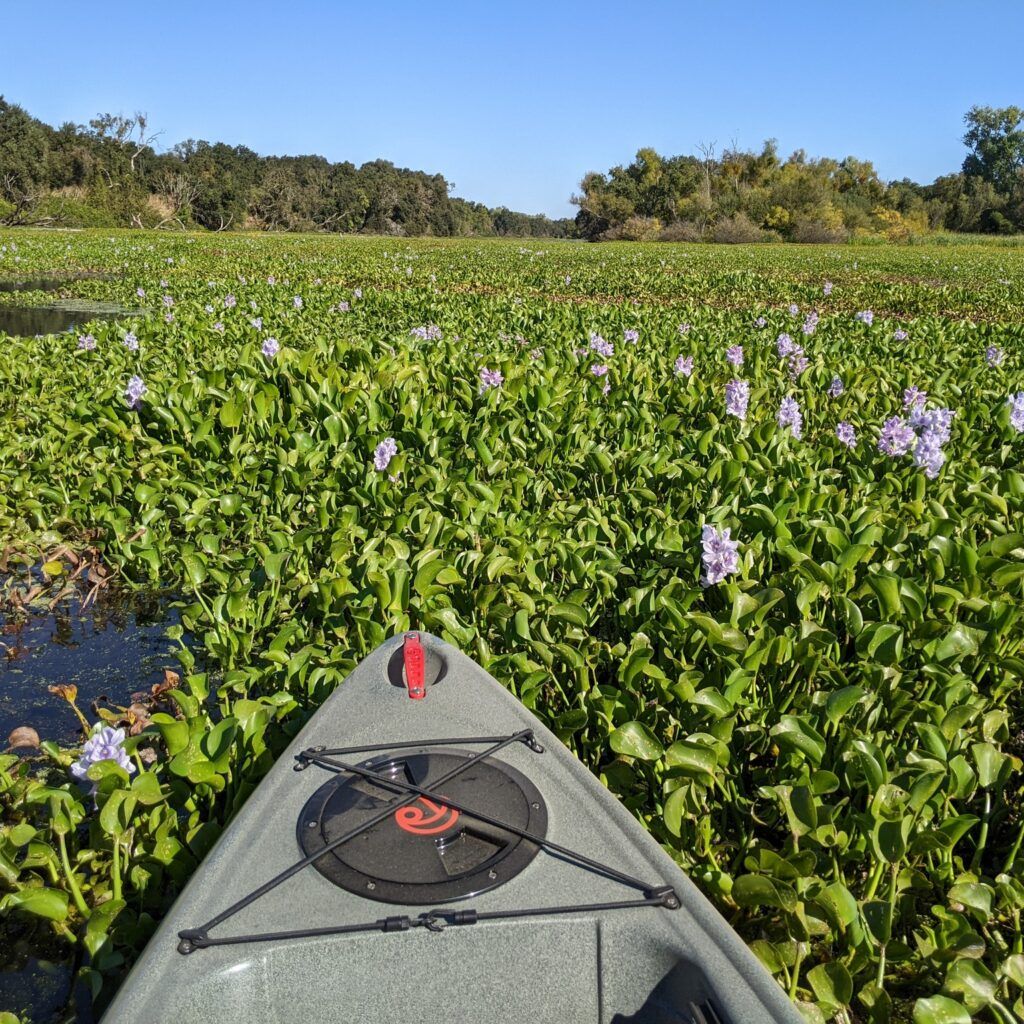 Pelican Island National Wildlife Refuge