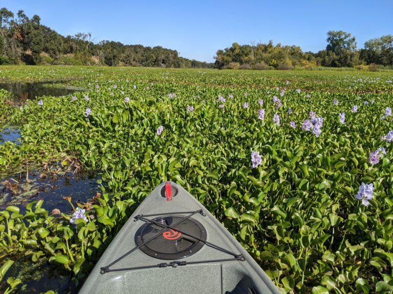 Pelican Island National Wildlife Refuge