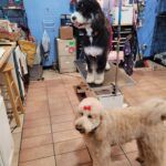 Tammy’s Tops & Tails