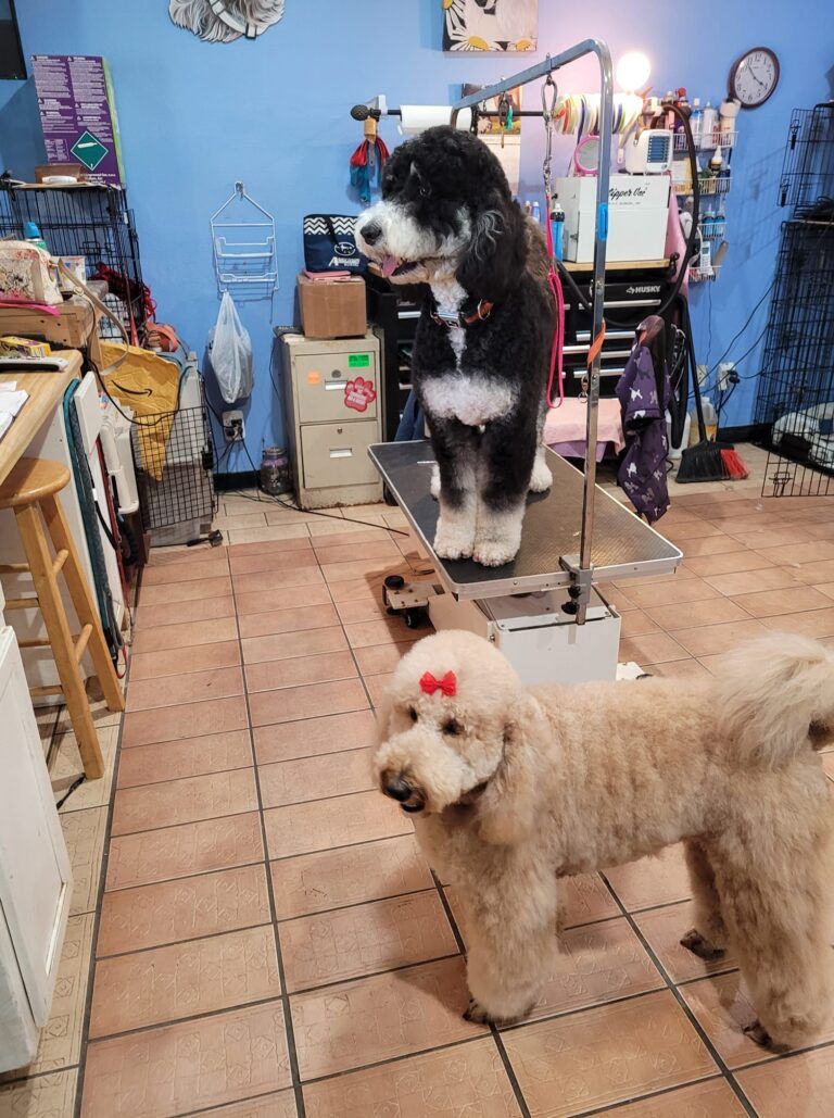 Tammy’s Tops & Tails