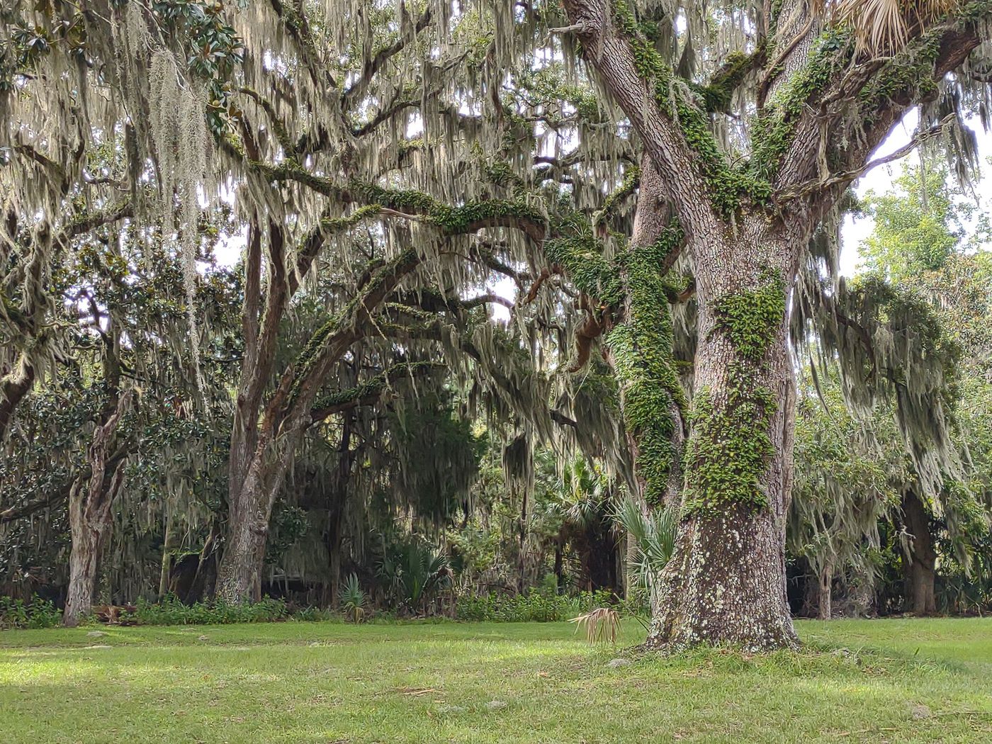 304894322_5856853361011702_7800395466316245785_n