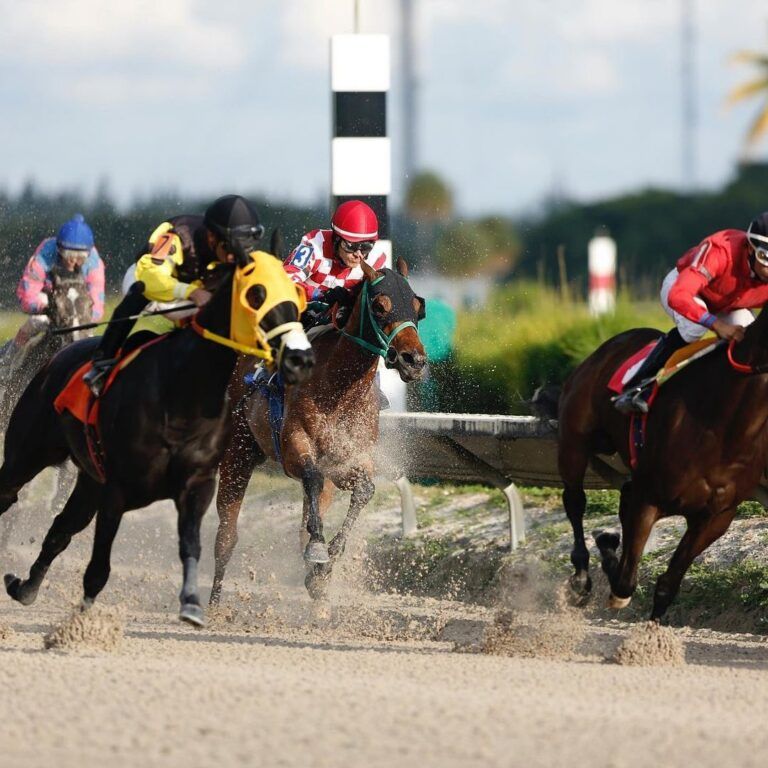 Gulfstream Park Racing and Casino – Hallandale