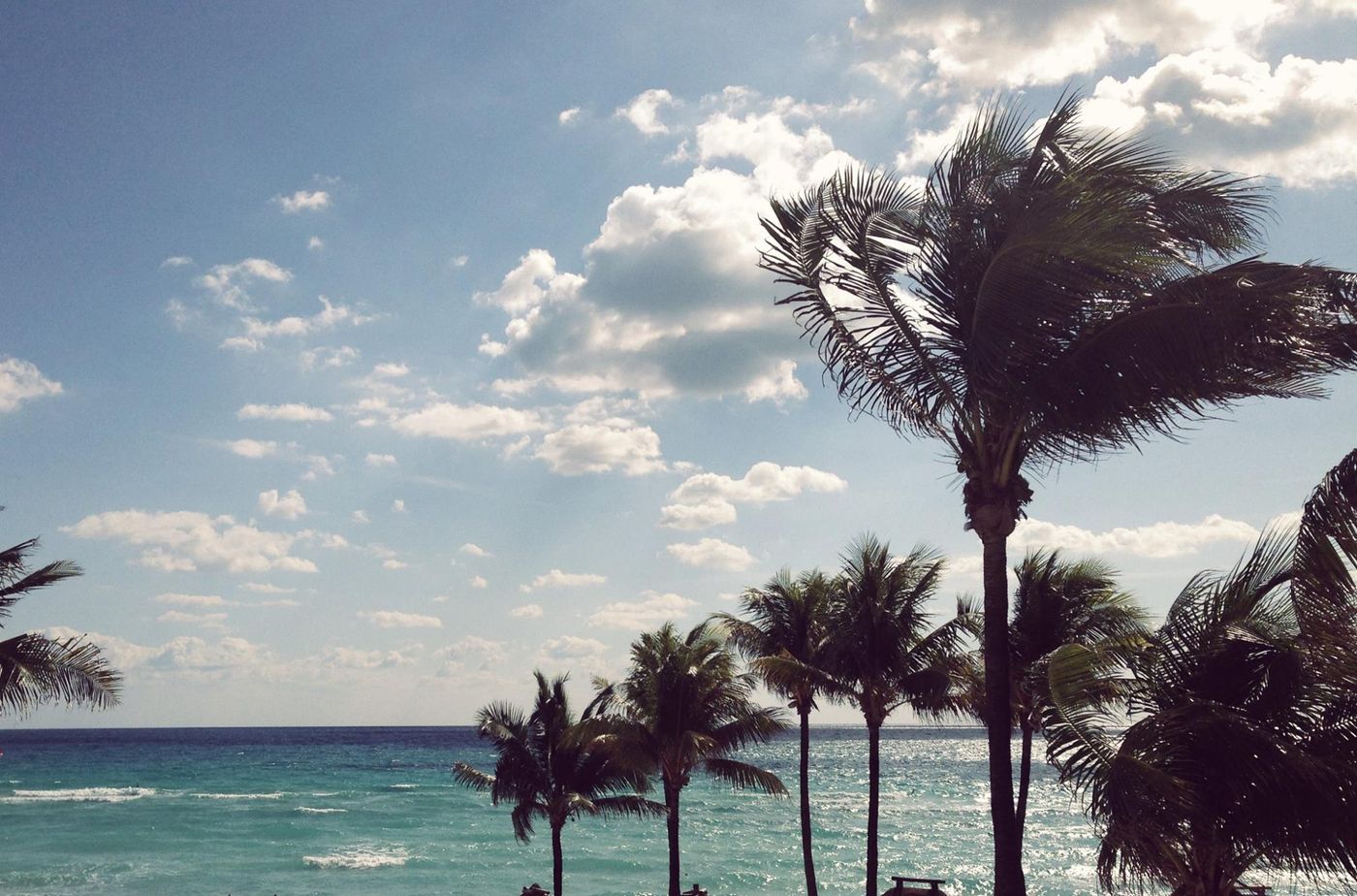 332562362_726177698967181_2537131511068116585_n