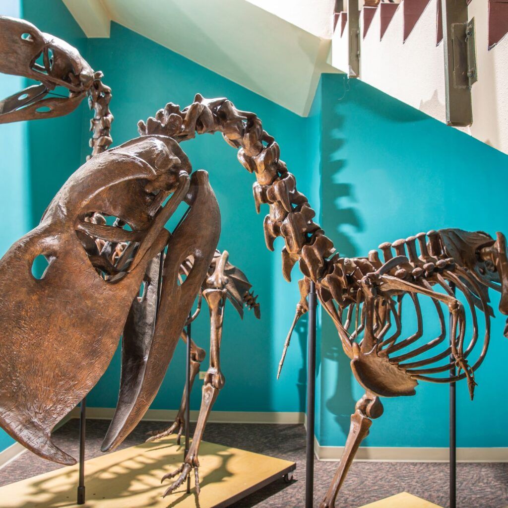 The Bishop Museum of Science and Nature