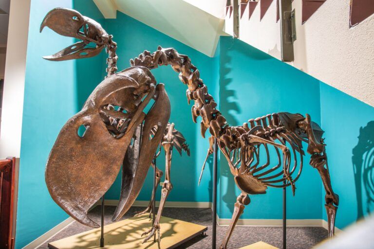 The Bishop Museum of Science and Nature