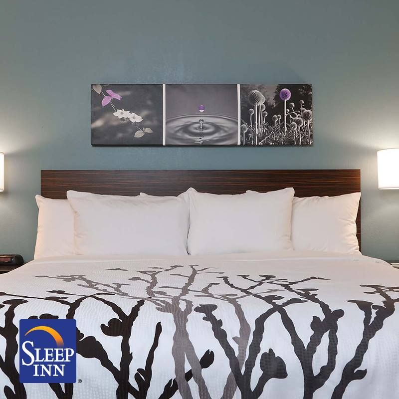 42972053_10158035541814569_2509740319528976384_n