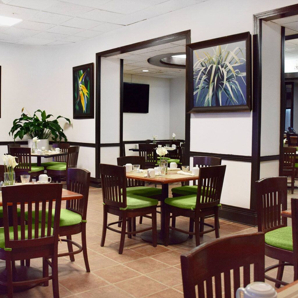 Tropical Lounge by Seacoast