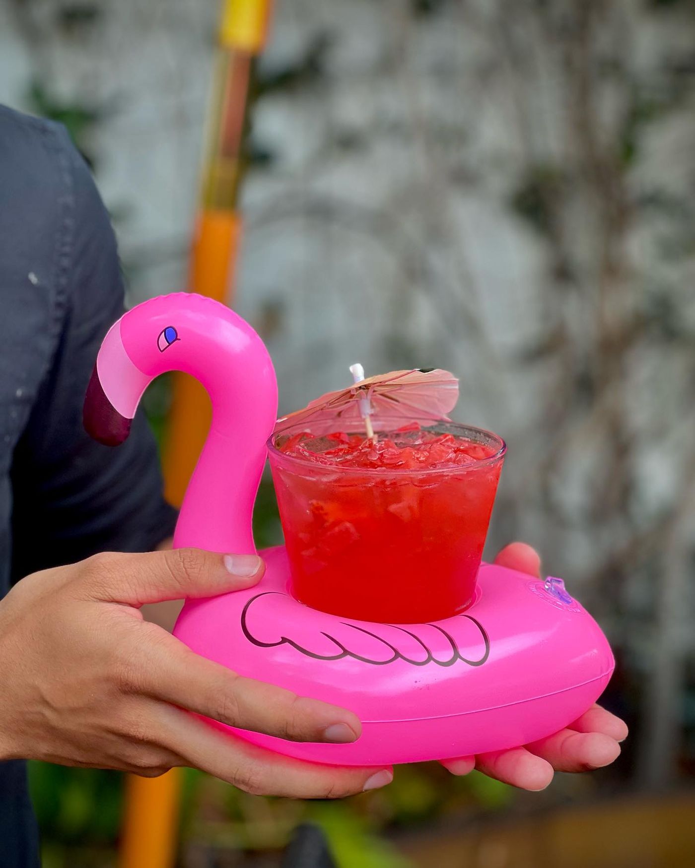 365631272_679435407545764_2546302920807932243_n