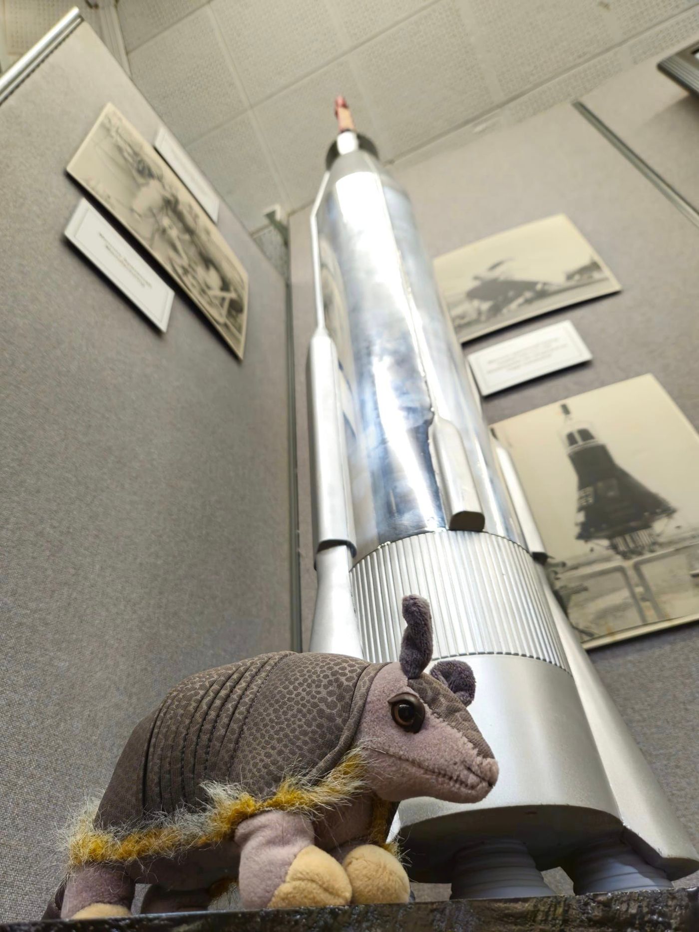 374189724_341798761516355_3938014917136606859_n