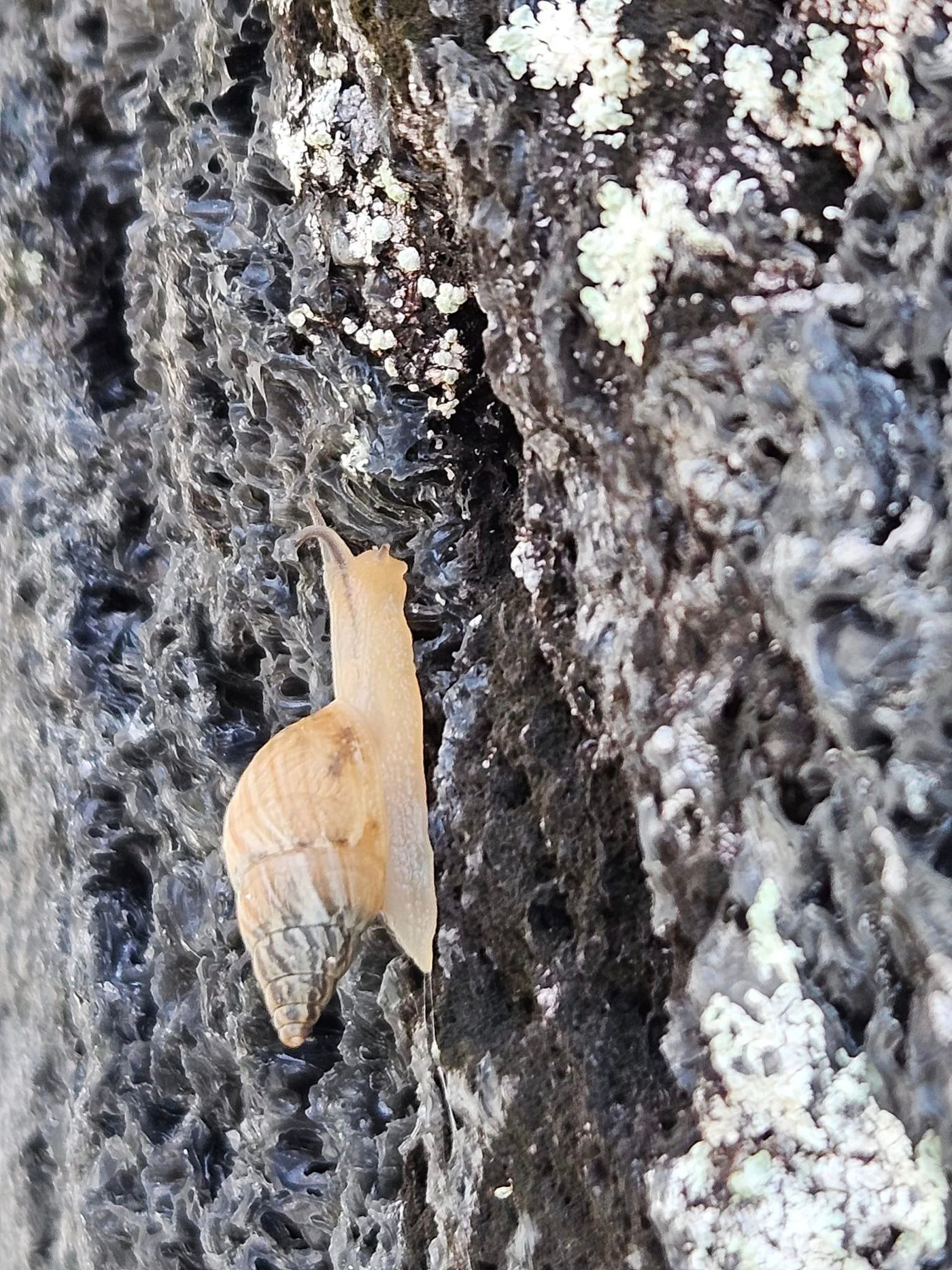 374562285_346674964362068_7712651008396593830_n