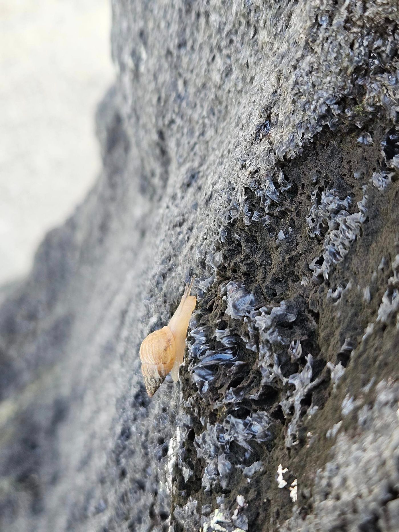 376814717_346675031028728_2963944971803270009_n