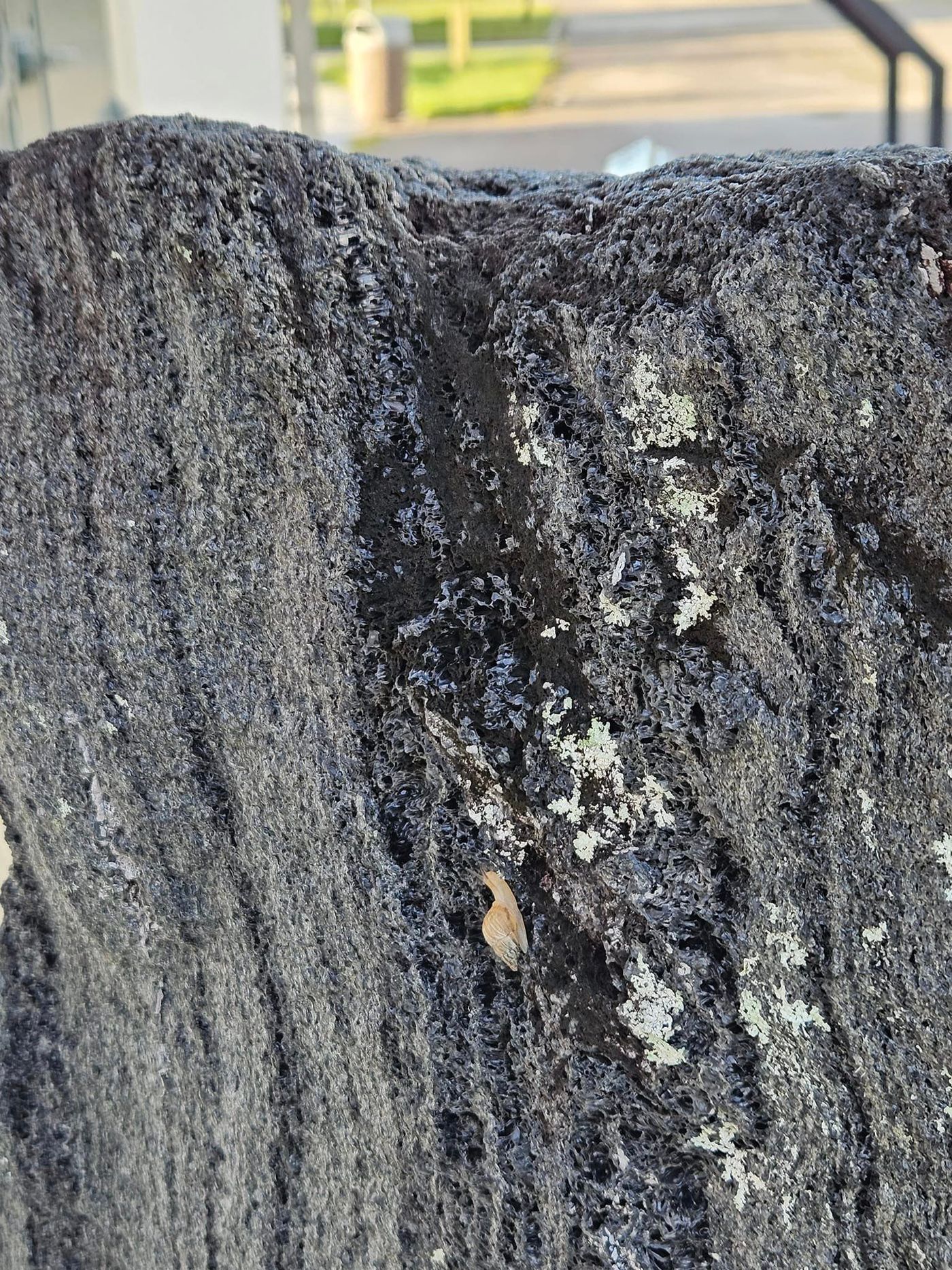 376900744_346675014362063_6739320380453617500_n