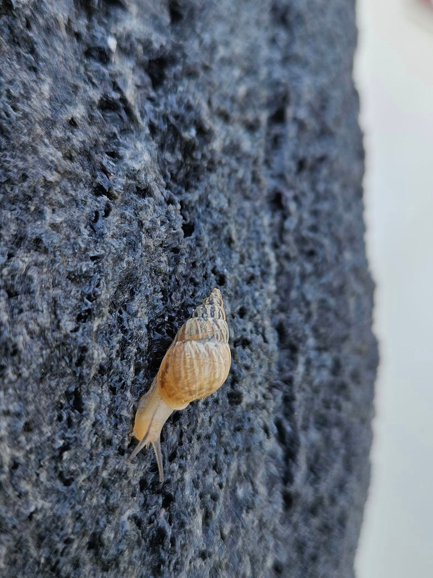 376903517_346675187695379_1162666073233165304_n