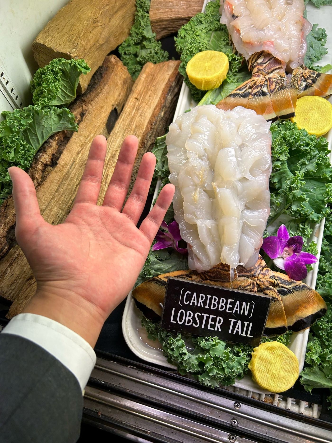 377920512_814815387314069_3637975979853608760_n