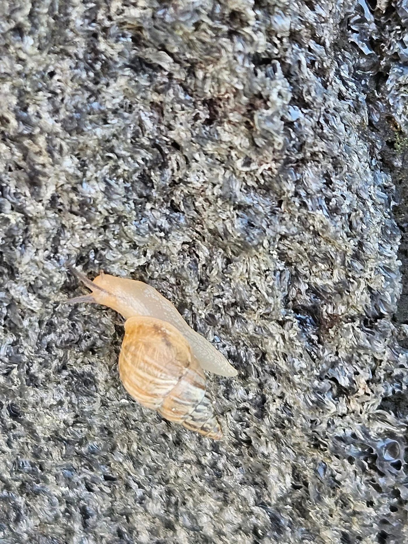 382707641_346675131028718_1221171410102468194_n