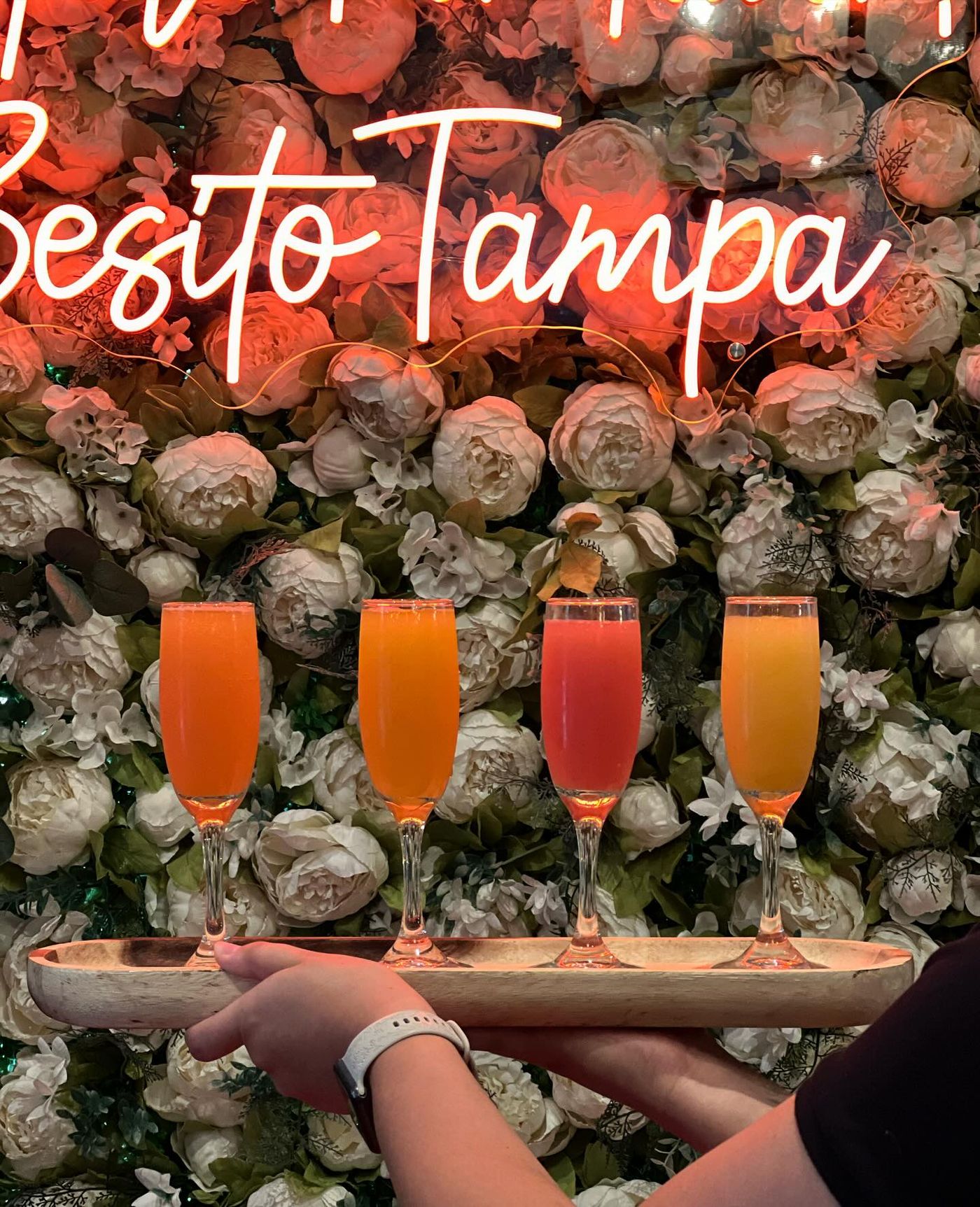 386759122_18290792929120579_2175252656016855968_n