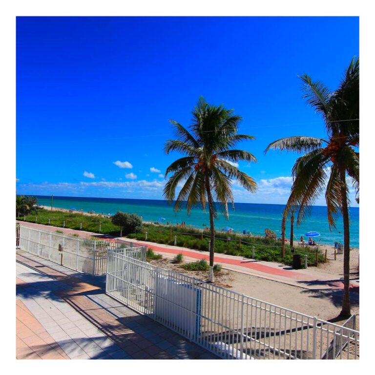 New Point Miami