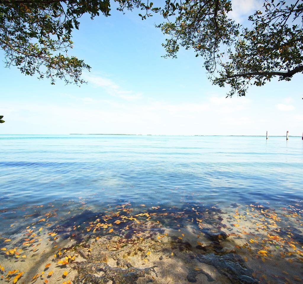 Playa Largo Resort & Spa, Autograph Collection