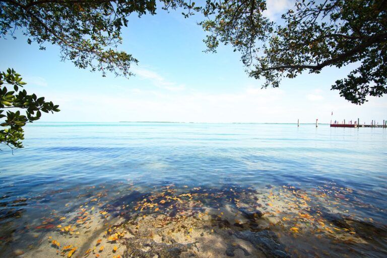 Playa Largo Resort & Spa, Autograph Collection