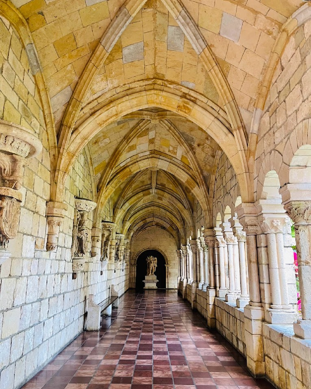 Novo Projeto (1)